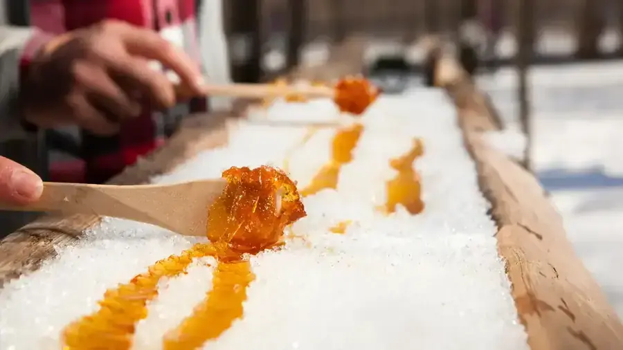 Sugar Shack & Trois-Rivières 1 Day Tour (All inclusive)