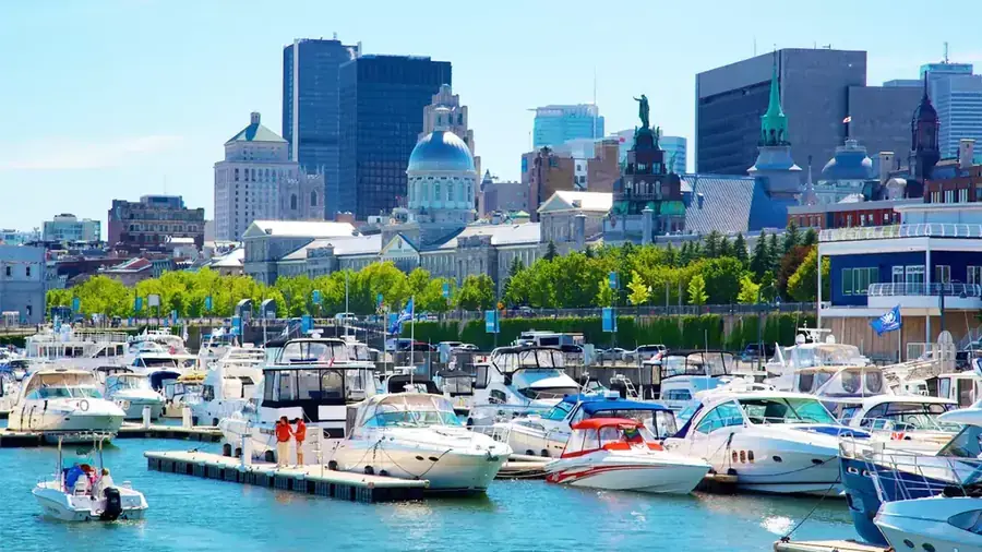 Montreal City Tour (5 hours)