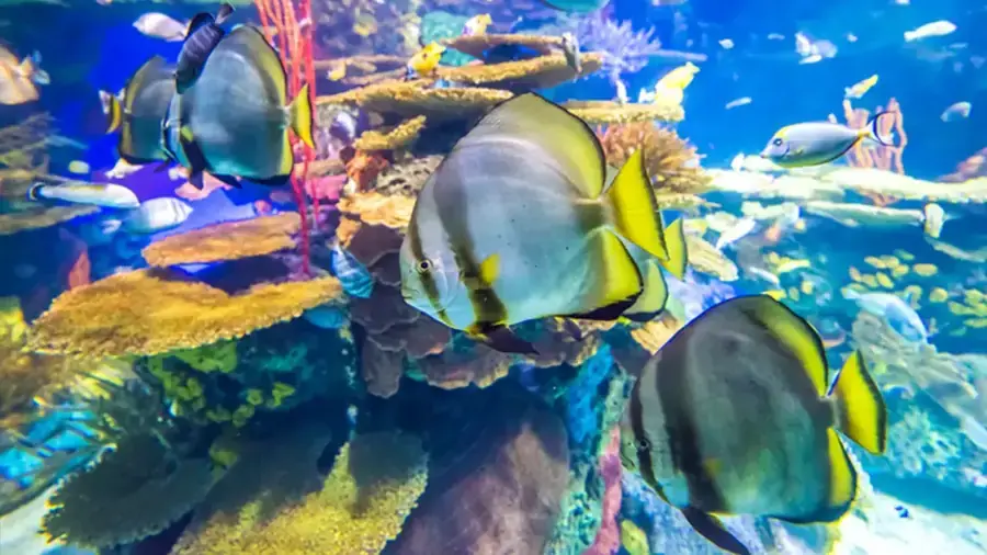 Toronto & Niagara Falls 2 Days Guided Tour (Hotel in Niagara Falls)