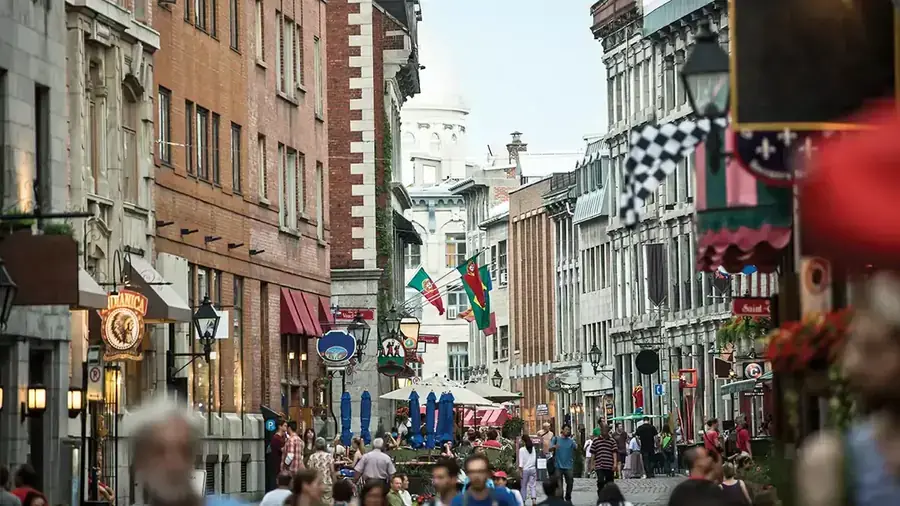 Montreal City Tour (5 hours)
