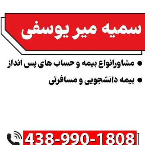 Somayeh Miryosefi Financial service