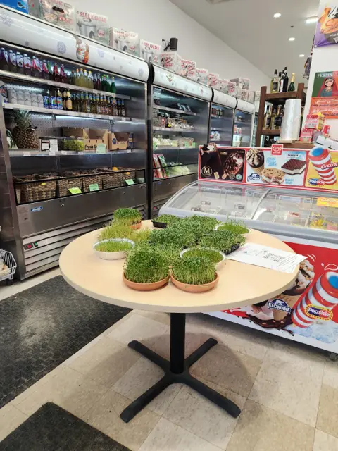 Marché Saluk, Iranian Supermarket