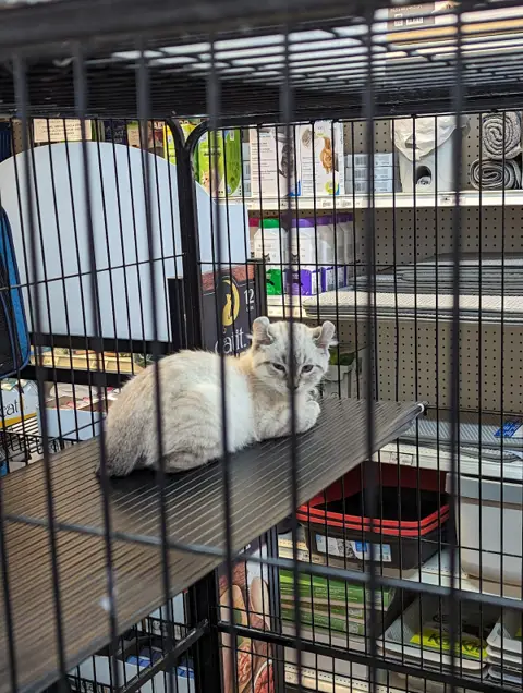 Animal Expert Maisonneuve