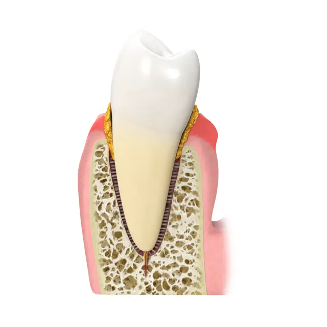 Msmiline Cosmetic Dentistry