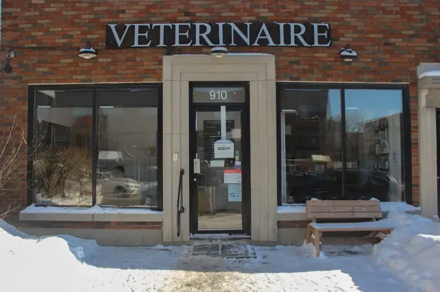 Pileh Veterinary Clinic